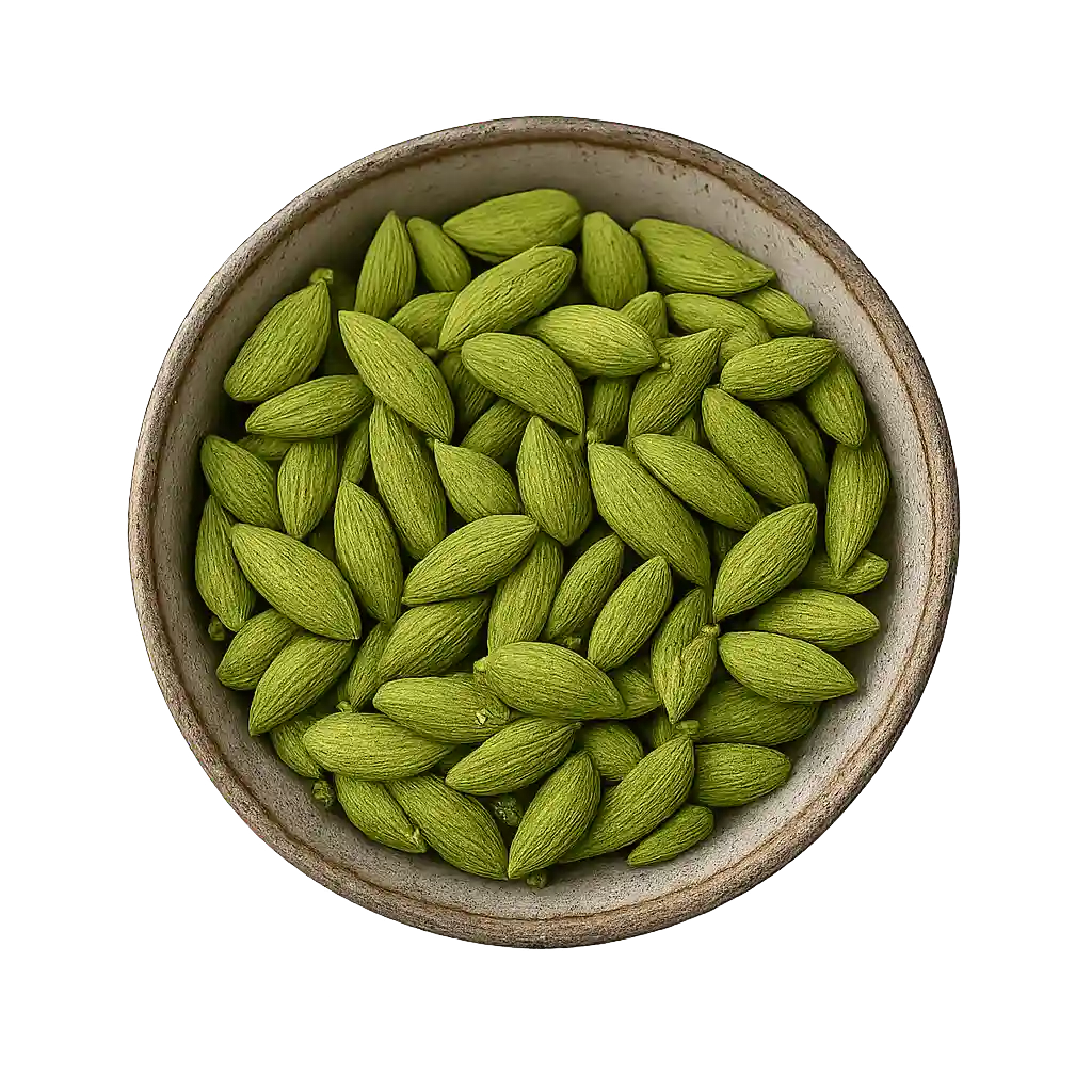 Bulk wholesale cardamom pods from India