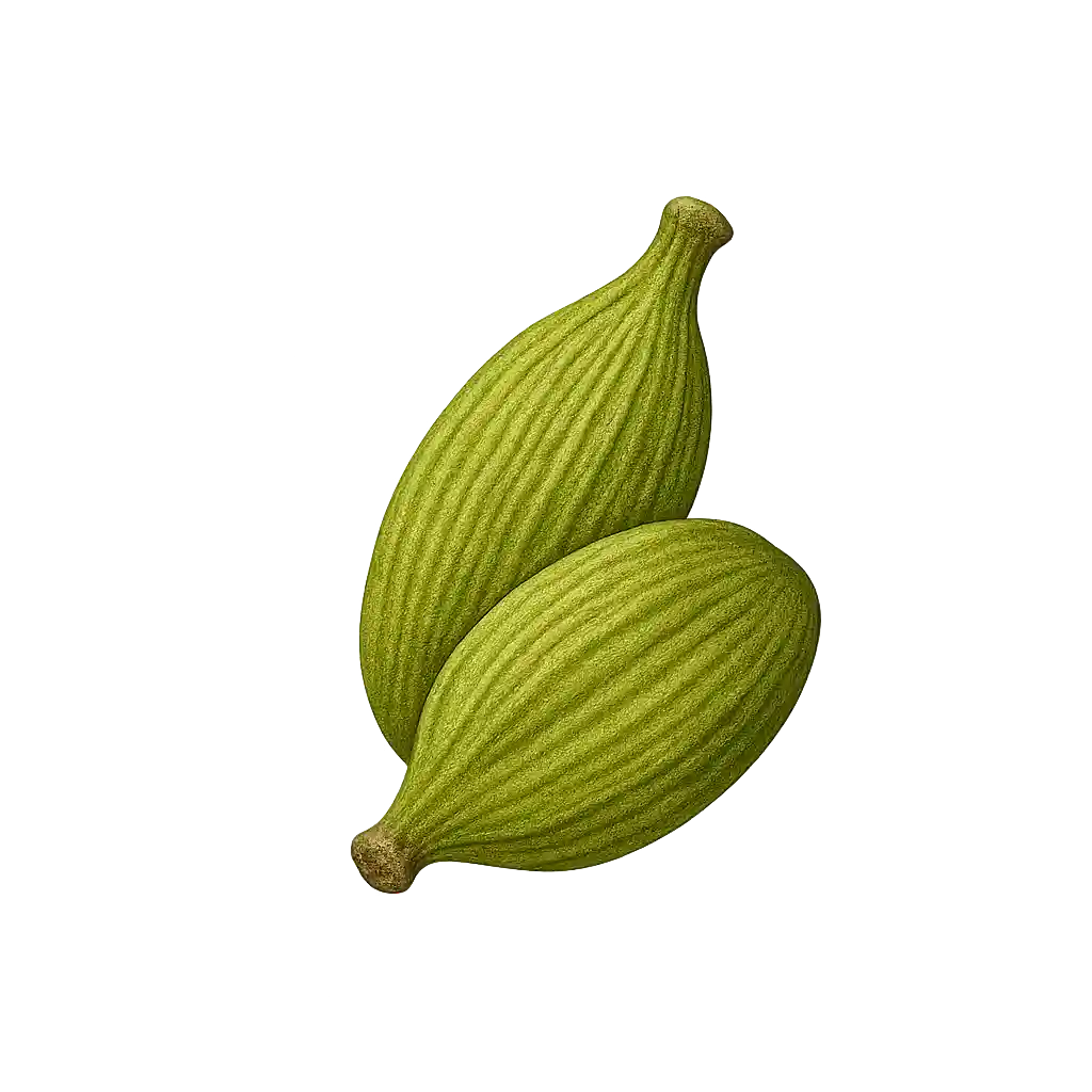 Cardamom